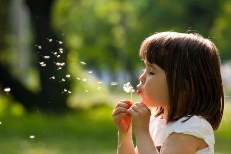 psicoterapia infantil pamplona